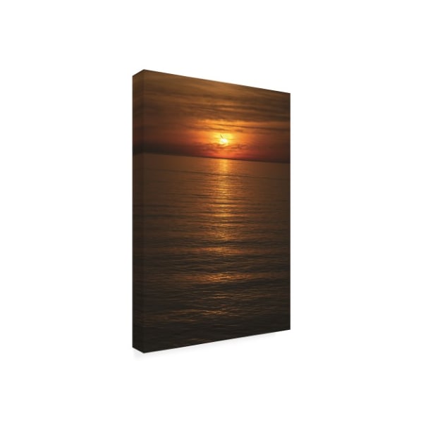 Kurt Shaffer Photographs 'Sunset Freedom' Canvas Art,22x32